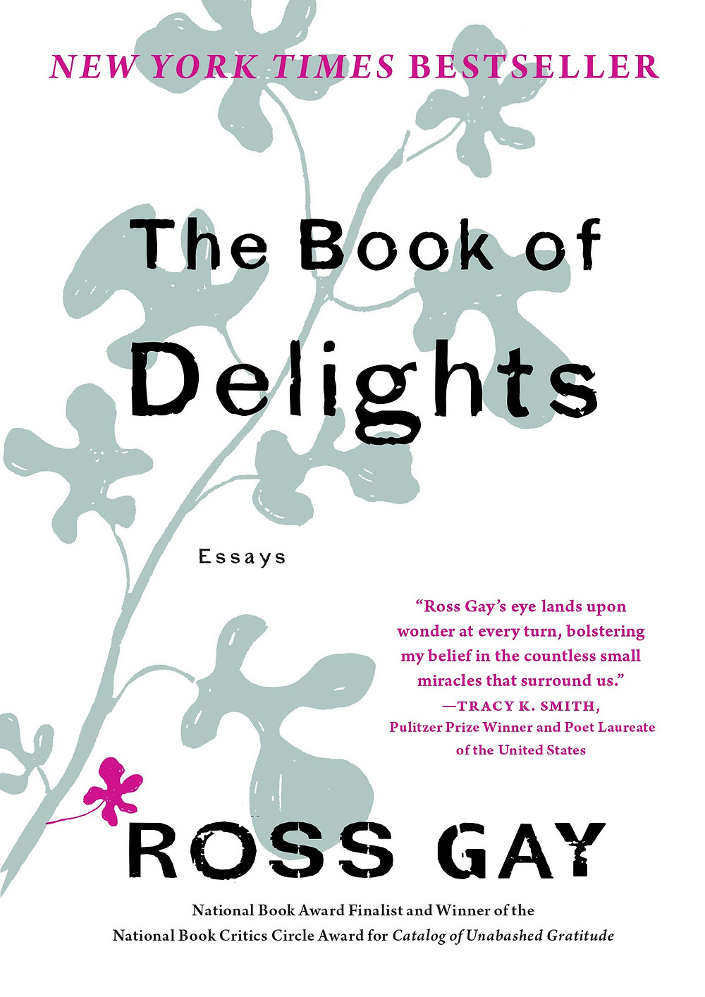 The Book of Delights - Essays